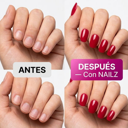 NAILZ KIT PRO